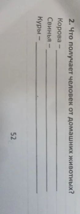 2. Что получает человек от домашних животных?