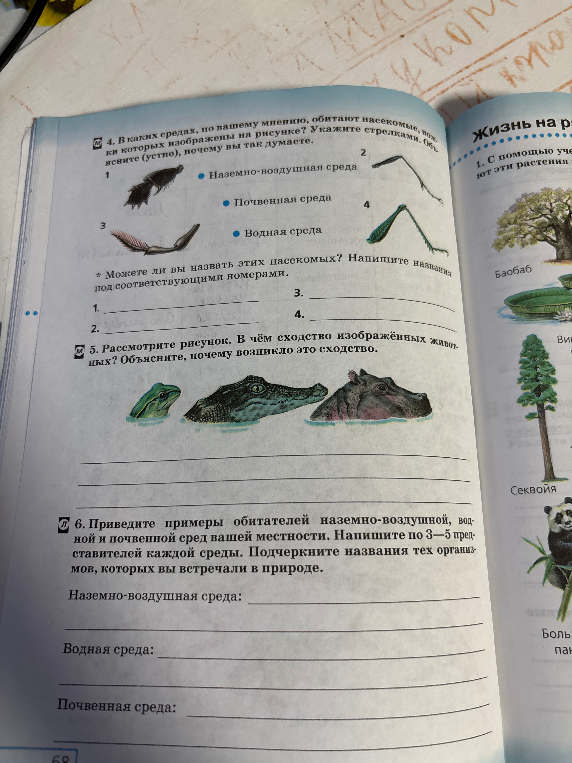 4. В каких средах, по вашему мнению, обитают насекомые, ножки которых изображены на рисунке? Укажите стрелками. Объясните (устно), почему вы так думаете.