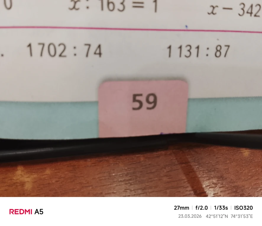 Выполните деление: 1702 : 74 и 1131 : 87