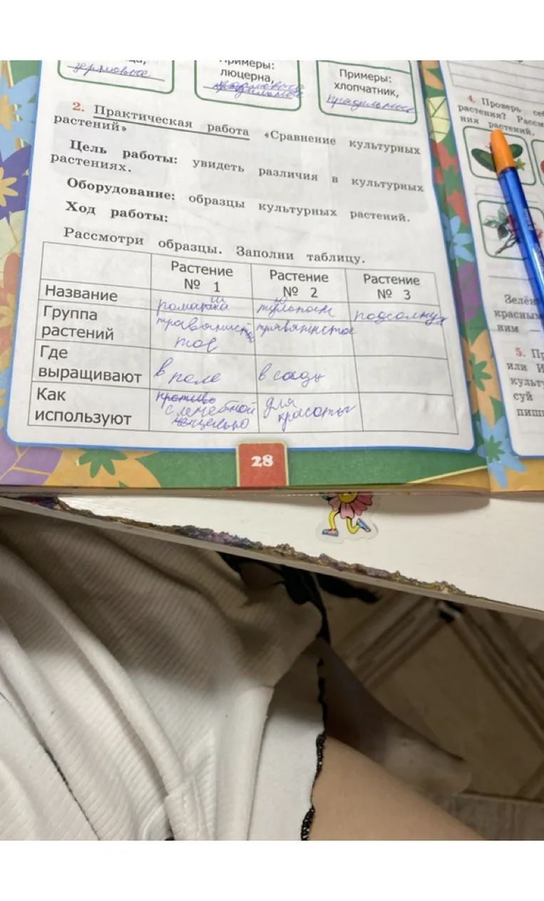 Рассмотри образцы. Заполни таблицу. Практическая работа «Сравнение культурных растений».