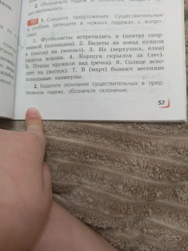 Спишите предложения. Существительные в скобках запишите в нужных падежах с вопросами. Выделите окончания существительных в предложном падеже, обозначьте склонение.