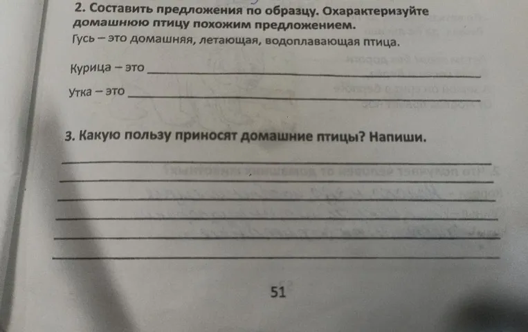 Составить предложения по образцу. Охарактеризуйте домашнюю птицу похожим предложением.