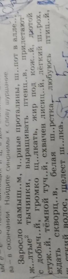 Заросло камыш..м, ч..рные проталины, ш..пот в алле... Найдите синонимы к слову шуршание