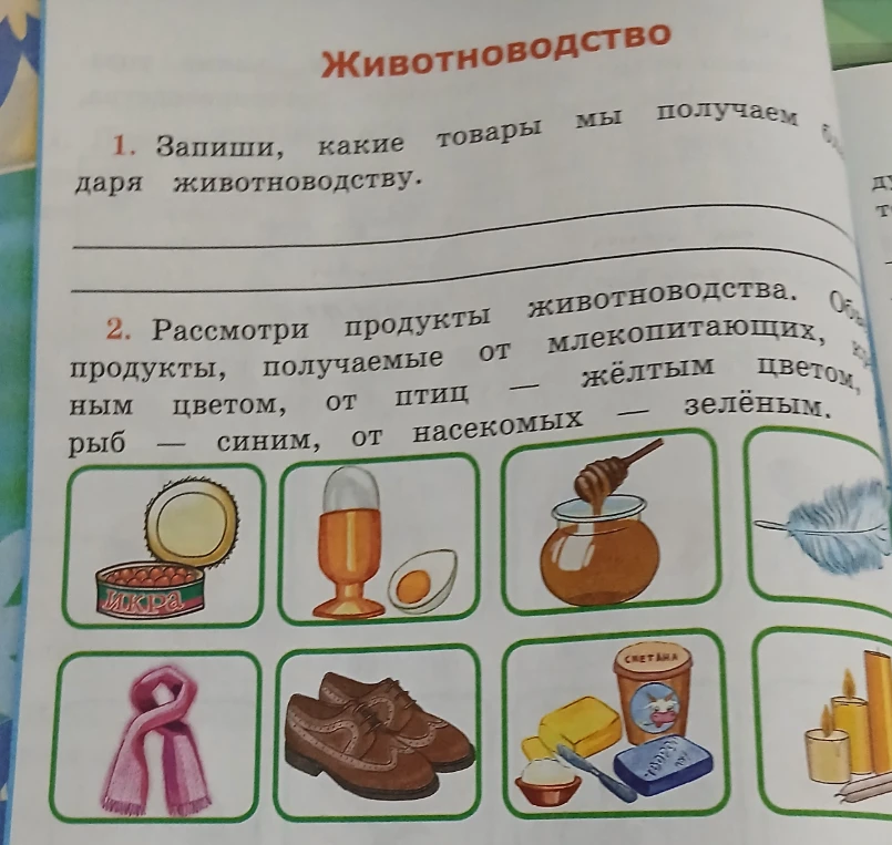 Запиши, какие товары мы получаем благодаря животноводству. Рассмотри продукты животноводства. Обведи продукты, получаемые от млекопитающих, красным цветом, от птиц — жёлтым цветом, от рыб — синим, от насекомых — зелёным.