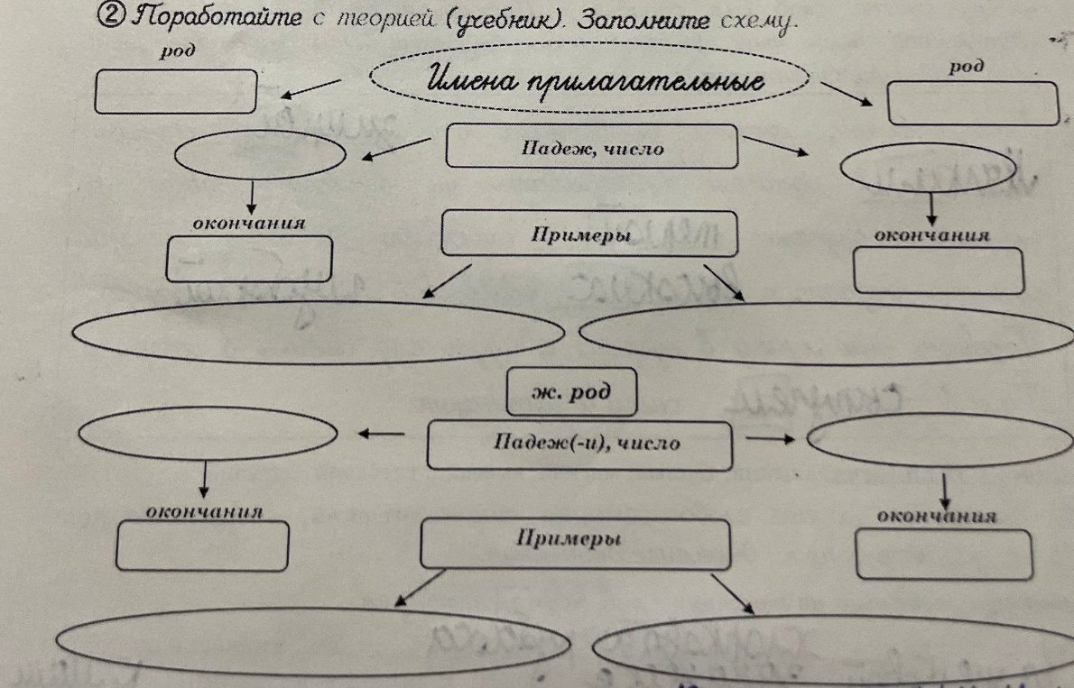 Поработайте с теорией (учебник). Заполните схему. Имена прилагательные.