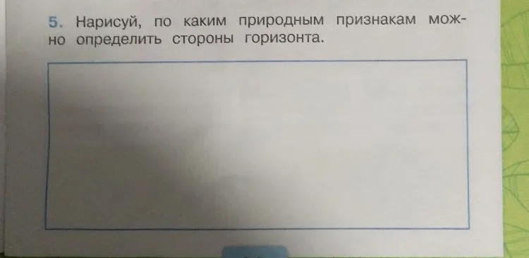 Нарисуй, по каким природным признакам можно определить стороны горизонта.