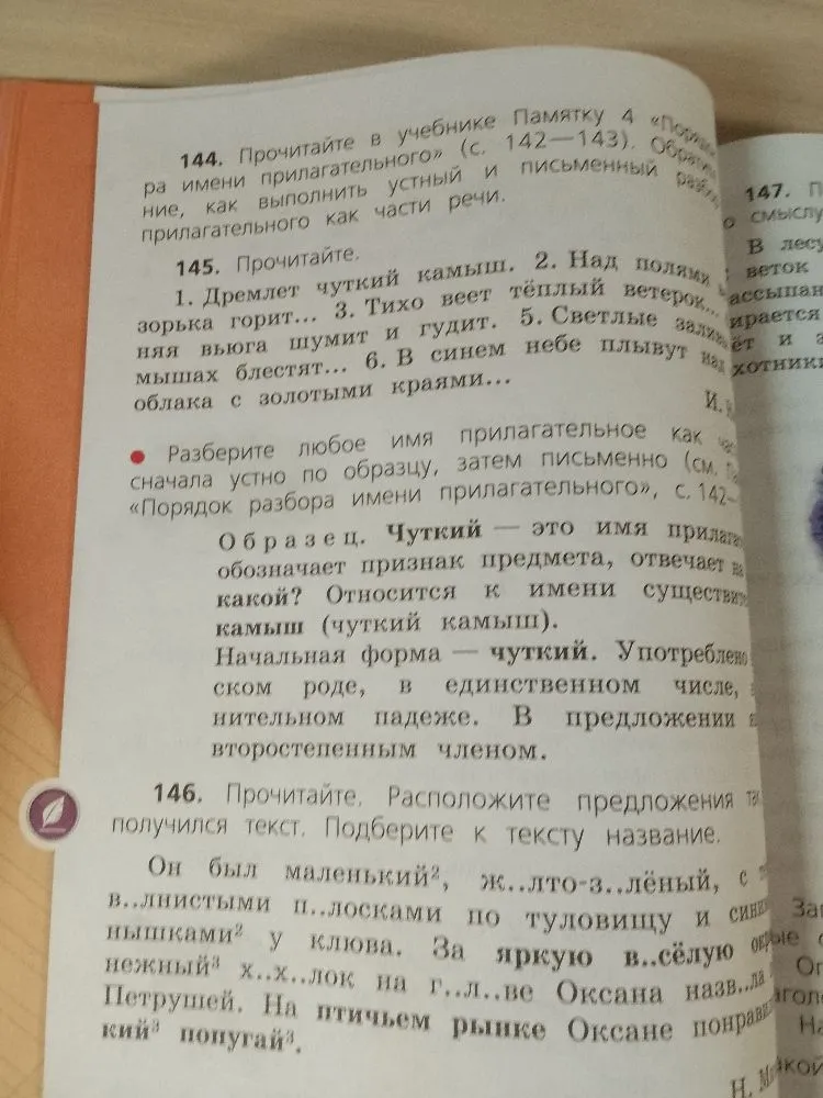 145. Прочитайте. Разберите любое имя прилагательное как часть речи сначала устно по образцу, затем письменно. 146. Прочитайте. Расположите предложения так, чтобы получился текст. Подберите к тексту название.