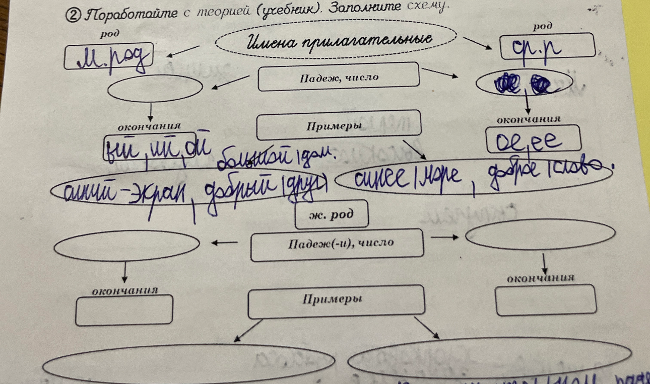 Поработайте с теорией (учебник). Заполните схему. Имена прилагательные.