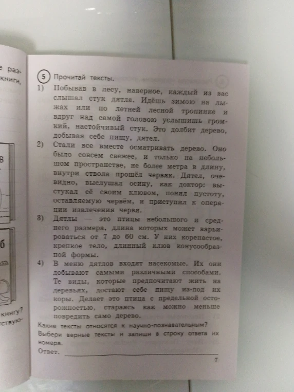Какие тексты относятся к научно-познавательным? Выбери верные тексты и запиши в строку ответа их номера.