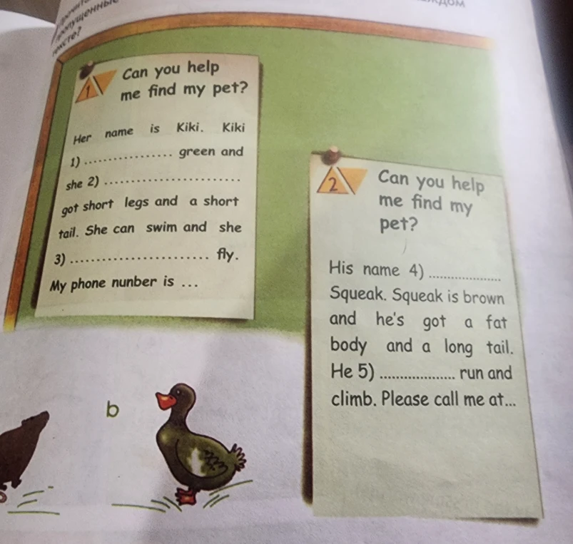 Can you help me find my pet? Her name is Kiki. Kiki 1)... green and she 2)... got short legs and a short tail. She can swim and she 3)... fly. My phone number is ...