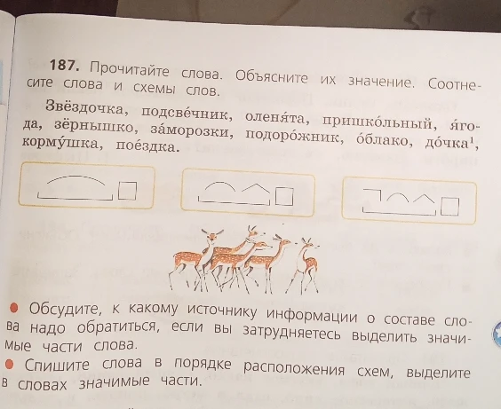 187. Прочитайте слова. Объясните их значение. Соотнесите слова и схемы слов.