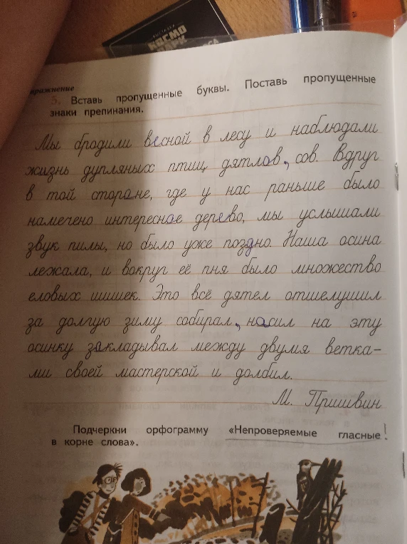 Вставь пропущенные буквы. Поставь пропущенные знаки препинания.