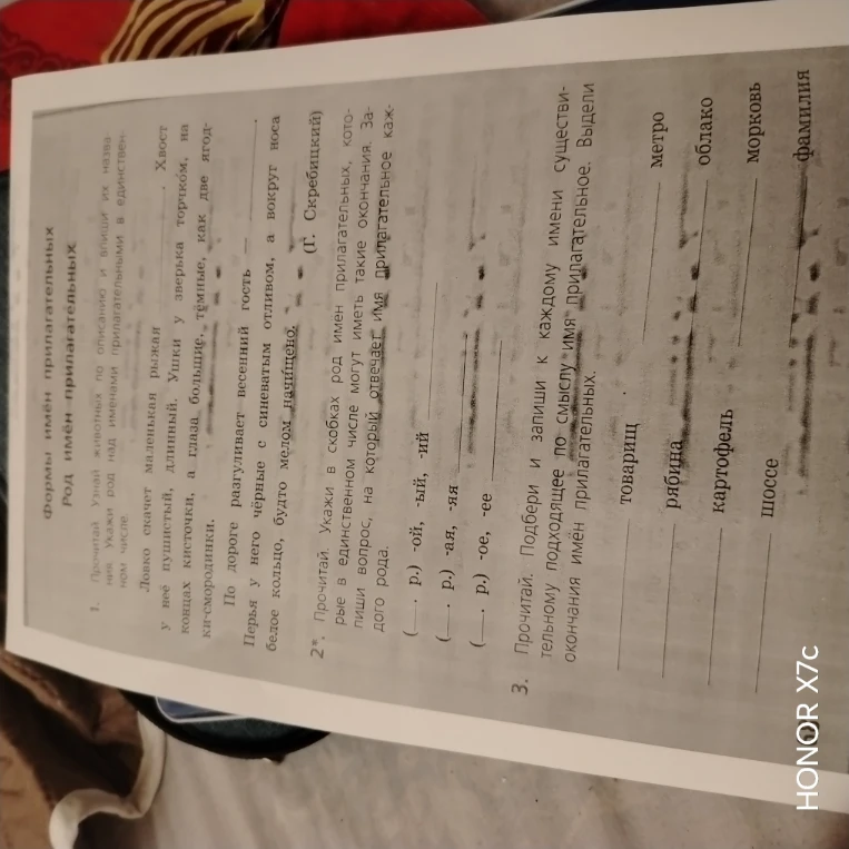 Узнай животных по описанию и впиши их названия. Укажи род над именами прилагательными в единственном числе.