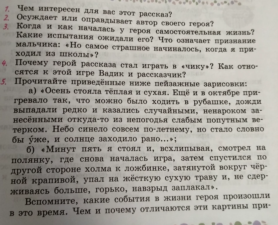 Вопросы по рассказу В. Г. Распутина «Уроки французского»: о герое, его испытаниях и пейзажных зарисовках.
