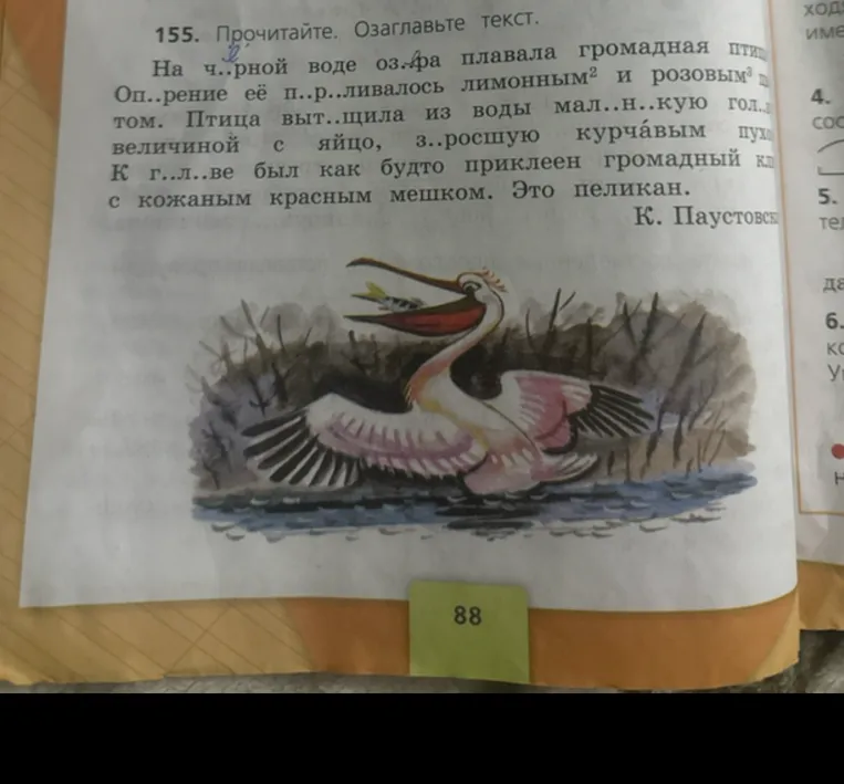 155. Прочитайте. Озаглавьте текст.