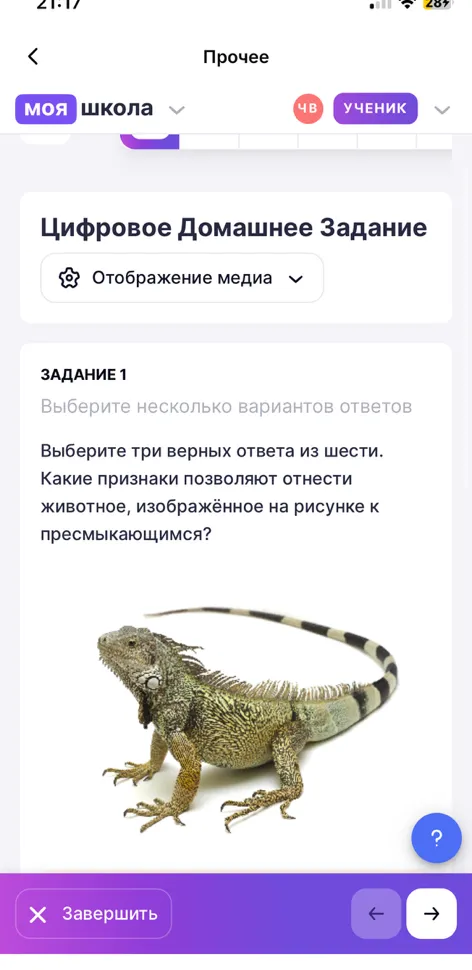 Выберите три верных ответа из шести. Какие признаки позволяют отнести животное, изображённое на рисунке к пресмыкающимся?