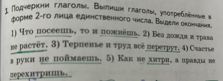 Подчеркни глаголы. Выпиши глаголы, употреблённые в форме 2-го лица единственного числа. Выдели окончания.