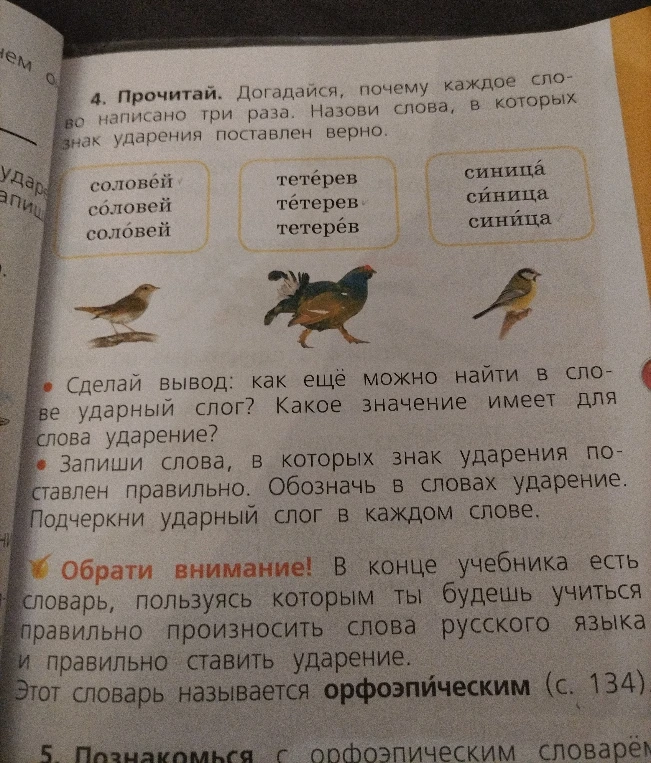 Прочитай. Догадайся, почему каждое слово написано три раза. Назови слова, в которых знак ударения поставлен верно.