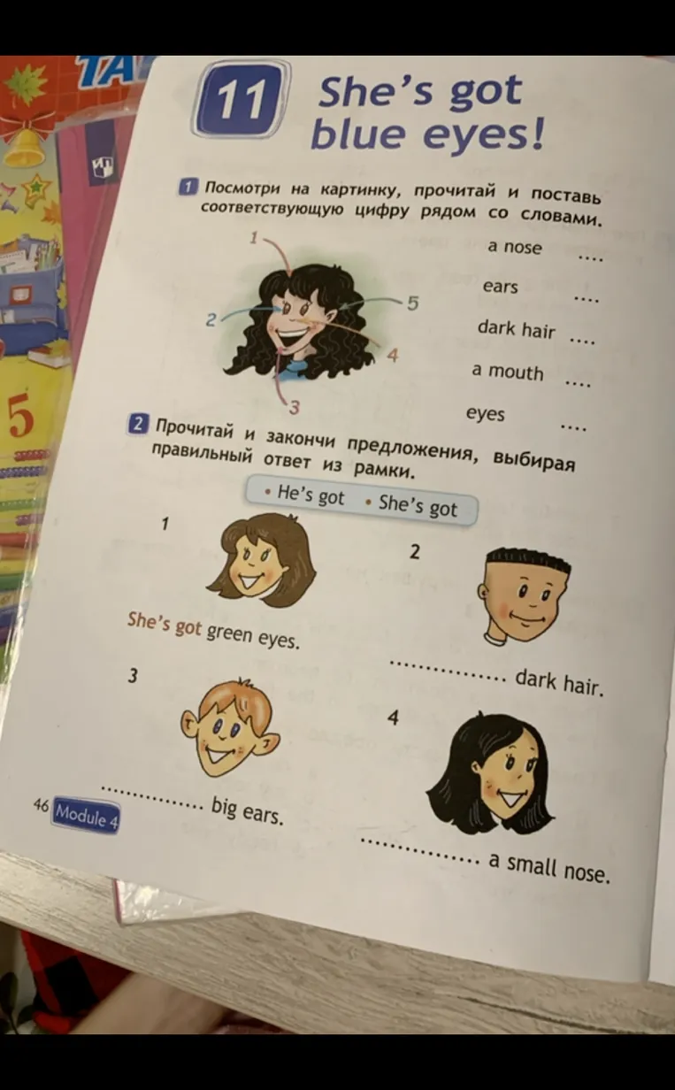 Посмотри на картинку, прочитай и поставь соответствующую цифру рядом со словами. Прочитай и закончи предложения, выбирая правильный ответ из рамки.