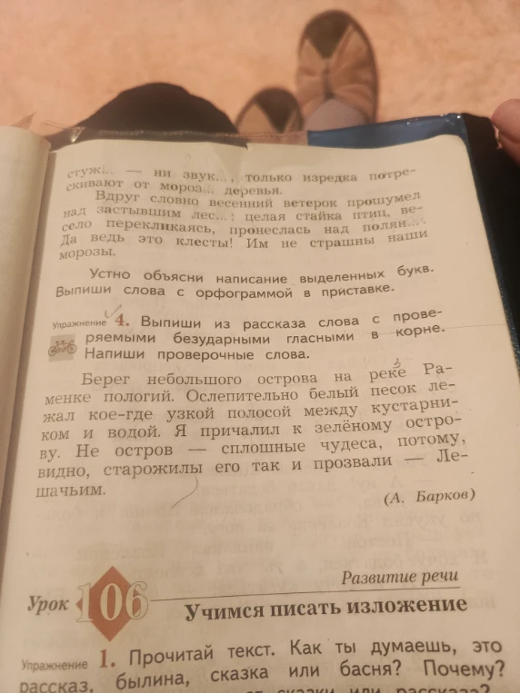 Выпиши из рассказа слова с проверяемыми безударными гласными в корне. Напиши проверочные слова.