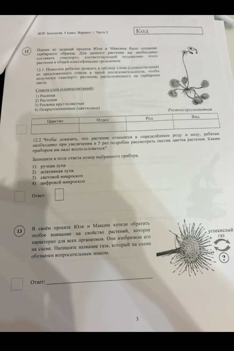 Помогите ребятам записать в таблицу слова из предложенного списка в такой последовательности, чтобы получился «паспорт» растения.