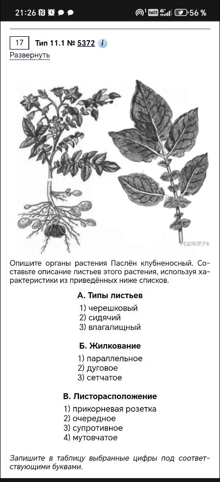 Опишите органы растения Паслён клубненосный. Составьте описание листьев этого растения, используя характеристики из приведённых ниже списков.