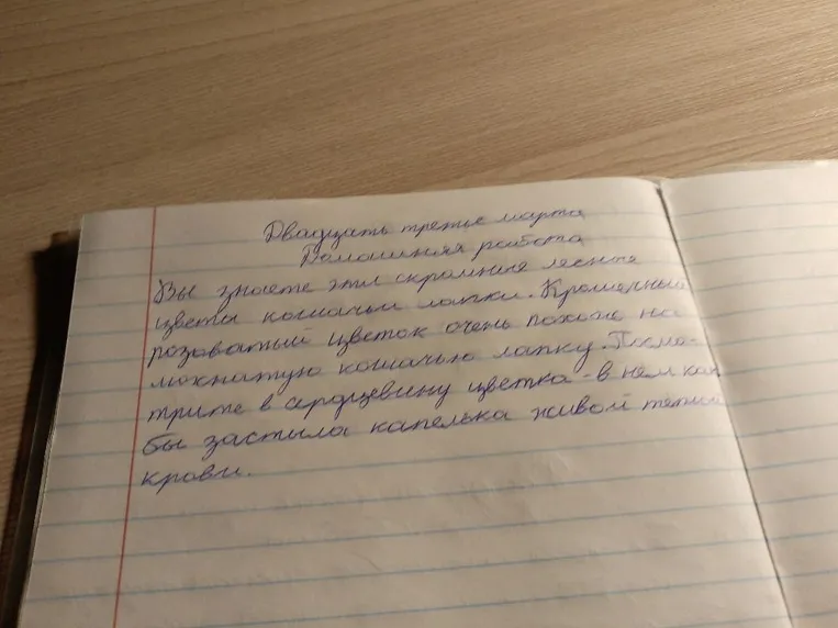 Определите падеж, род и число прилагательных в тексте: Вы знаете эти скромные лесные цветы кошачьи лапки. Крошечный розоватый цветок очень похож на лохматую кошачью лапку.