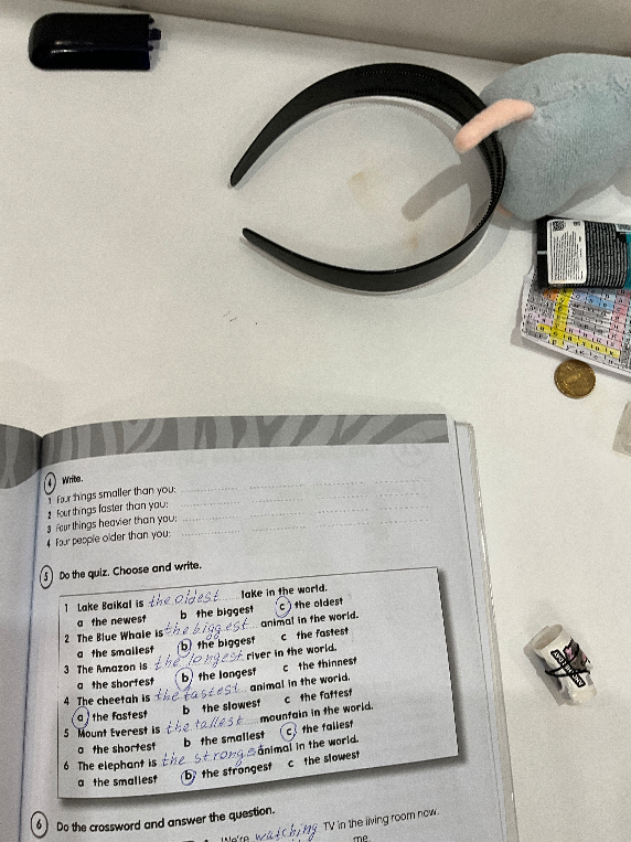 Do the quiz. Choose and write.