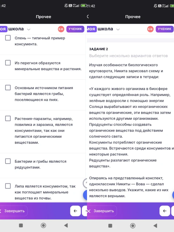 Опираясь на представленный конспект, одноклассник Никиты — Вова — сделал несколько выводов. Укажите, какие из них являются верными.