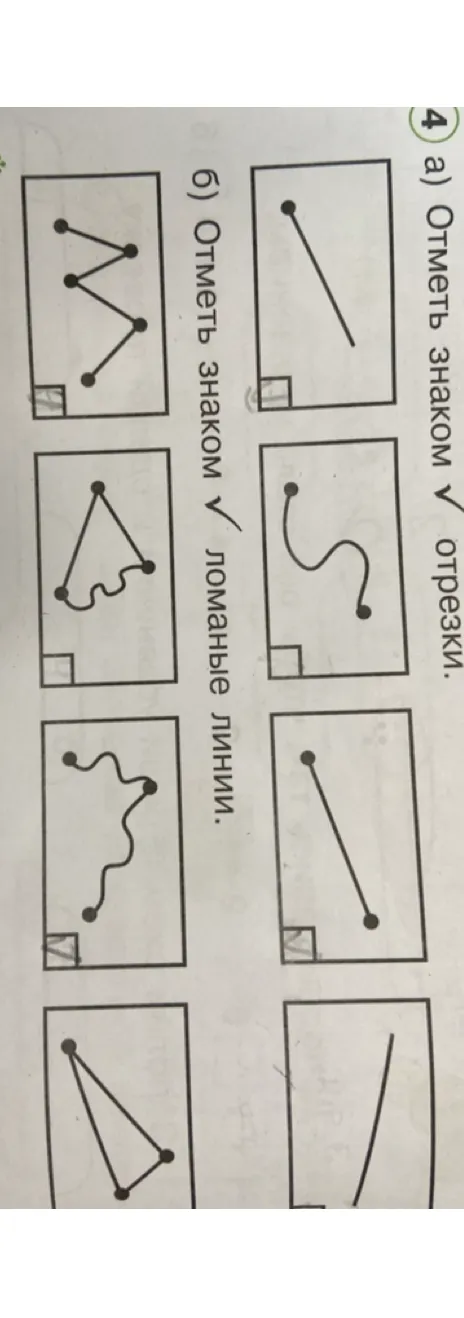 а) Отметь знаком ✓ отрезки. б) Отметь знаком ✓ ломаные линии.