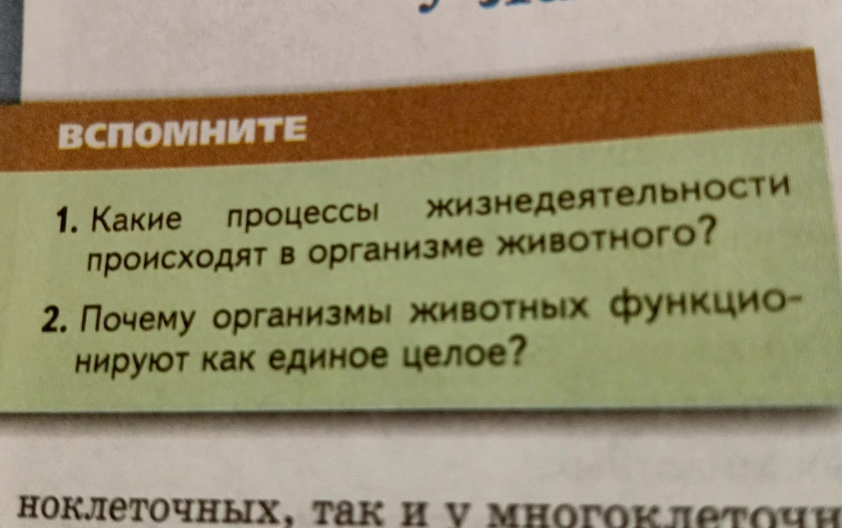 1. Какие процессы жизнедеятельности происходят в организме животного? 2. Почему организмы животных функционируют как единое целое?