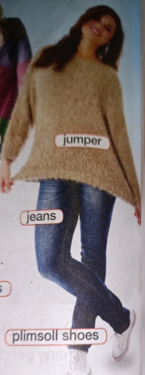 Назовите предметы одежды, указанные на картинке: jumper, jeans, plimsoll shoes.