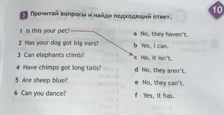 Прочитай вопросы и найди подходящий ответ.