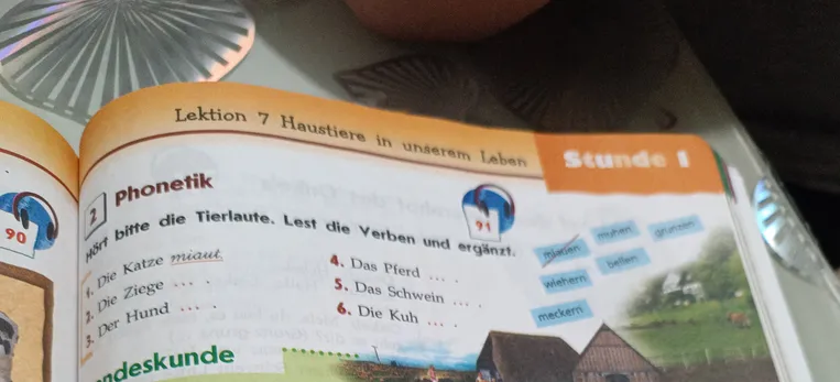 Hört bitte die Tierlaute. Lest die Verben und ergänzt.