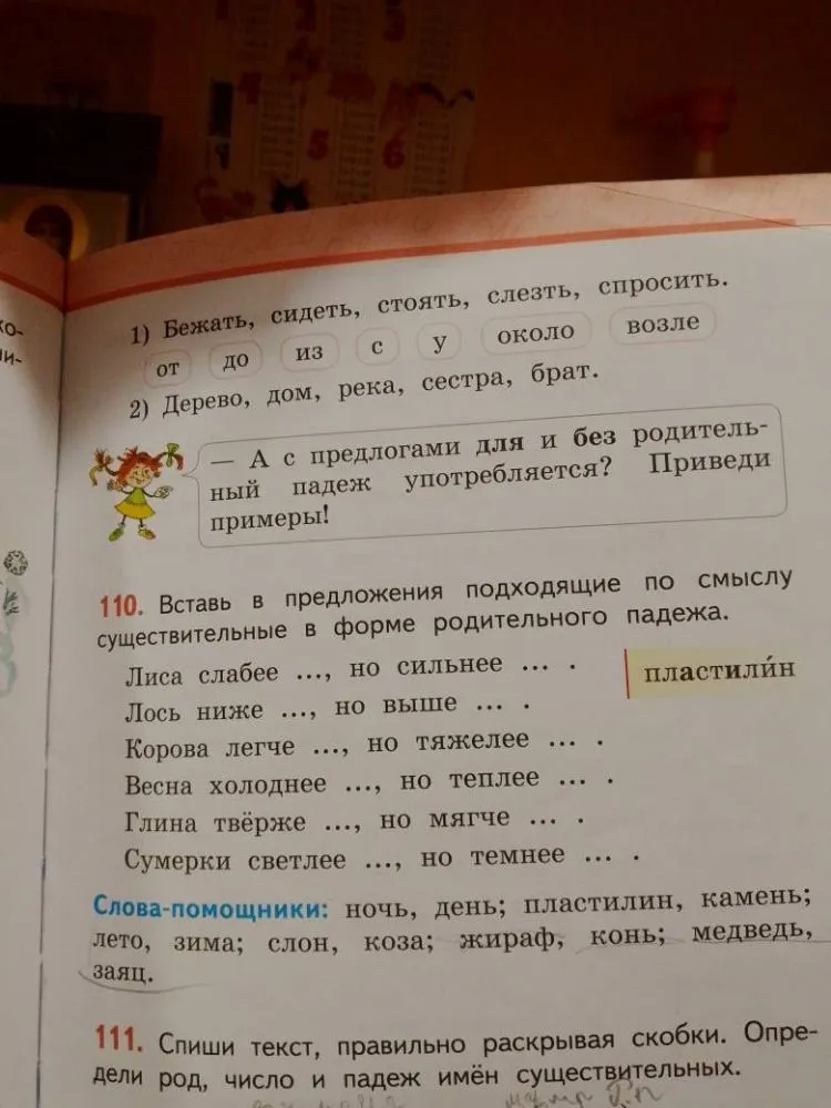 Вставь в предложения подходящие по смыслу существительные в форме родительного падежа.