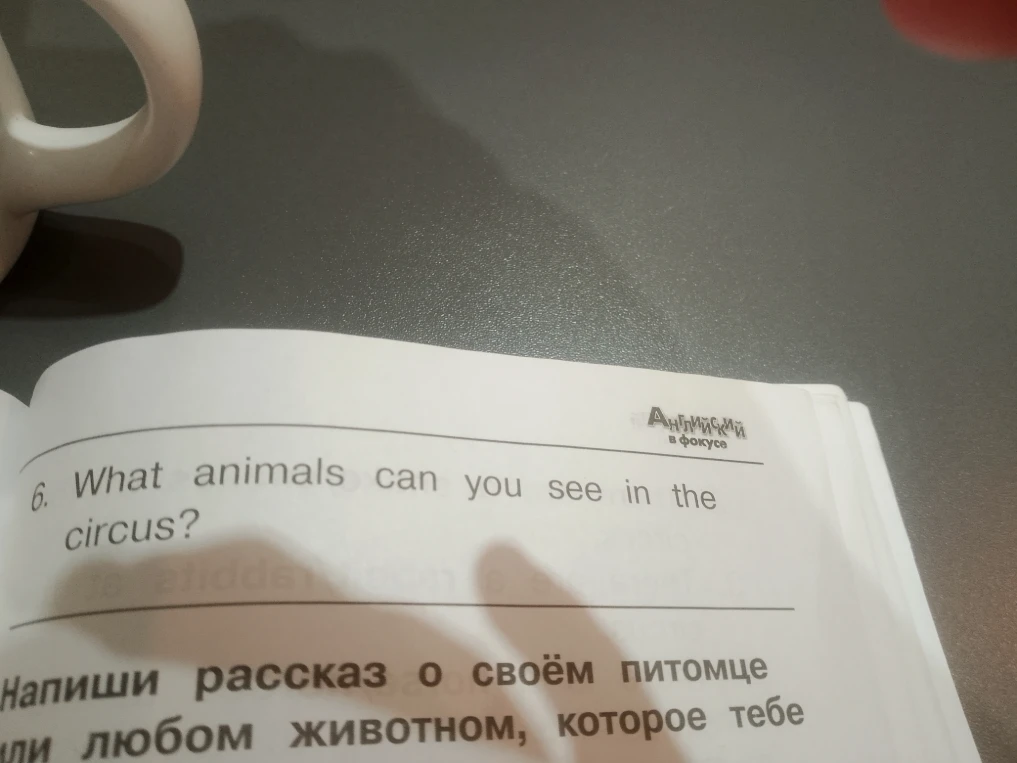 What animals can you see in the circus?