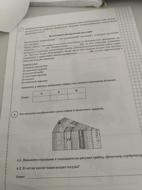 Выберите из предложенного списка и вставьте в текст пропущенные слова, используя для этого их цифровые обозначения. Впишите номера выбранных слов на места пропусков в тексте.