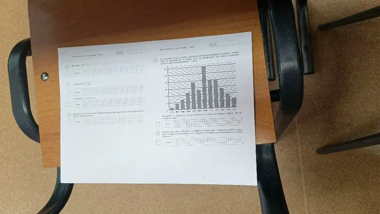 Выполните задания ВПР по математике за 6 класс, вариант 1: вычисления с целыми числами, дробями и десятичными числами, работа с диаграммой и задача на проценты.
