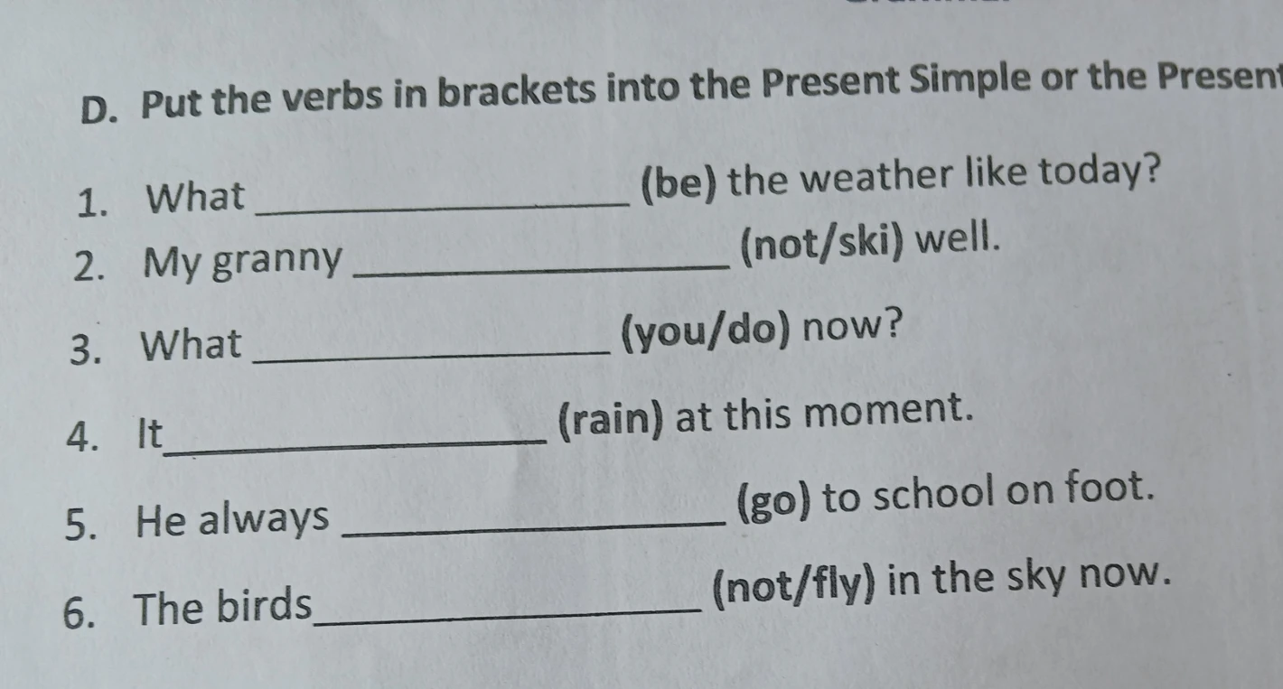 Put the verbs in brackets into the Present Simple or the Present Continuous