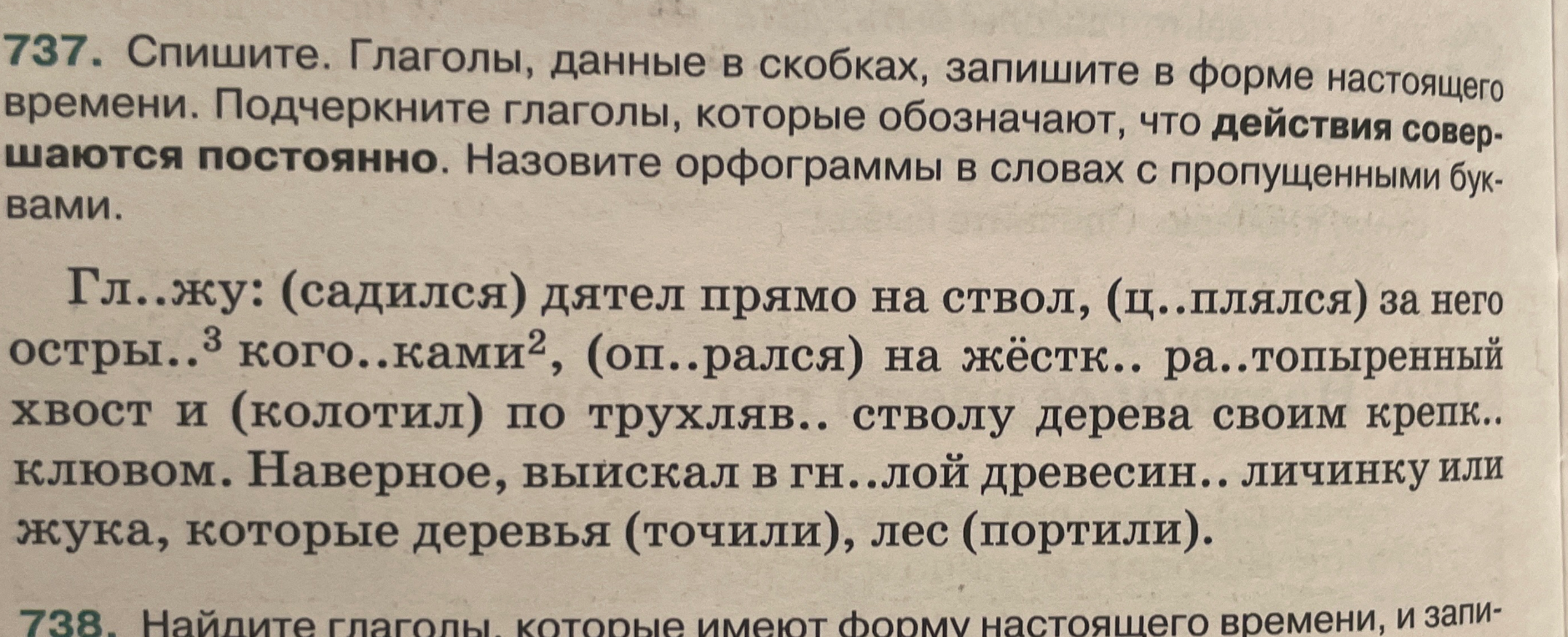 737. Спишите. Глаголы, данные в скобках, запишите в форме настоящего времени. Подчеркните глаголы, которые обозначают, что действия совершаются постоянно. Назовите орфограммы в словах с пропущенными буквами.