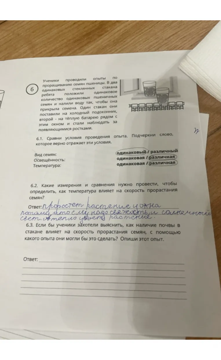 Если бы ученики захотели выяснить, как наличие почвы в стакане влияет на скорость прорастания семян, с помощью какого опыта они могли бы это сделать? Опиши этот опыт.