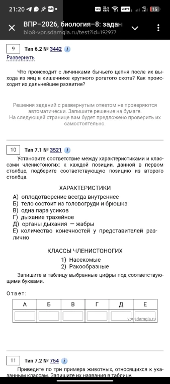 Что происходит с личинками бычьего цепня после их выхода из яиц в кишечнике крупного рогатого скота? Как происходит их дальнейшее развитие?
