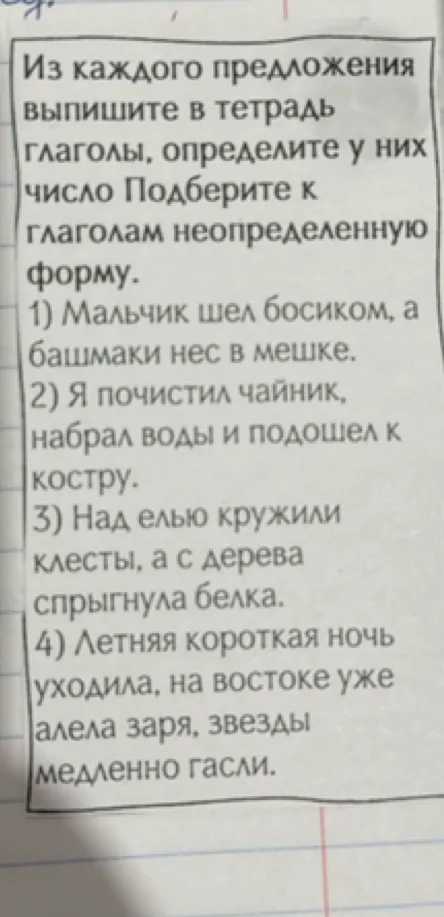 Из каждого предложения выпишите в тетрадь глаголы, определите у них число Подберите к глаголам неопределенную форму.