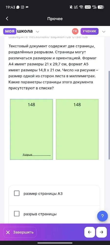 Текстовый документ содержит две страницы, разделённых разрывом. Страницы могут различаться размером и ориентацией. Формат А4 имеет размеры 21 x 29,7 см, формат А5 имеет размеры 14,8 x 21 см. Число на рисунке – размер одной из сторон листа в миллиметрах. Какие параметры страницы этого документа присутствуют в списке?