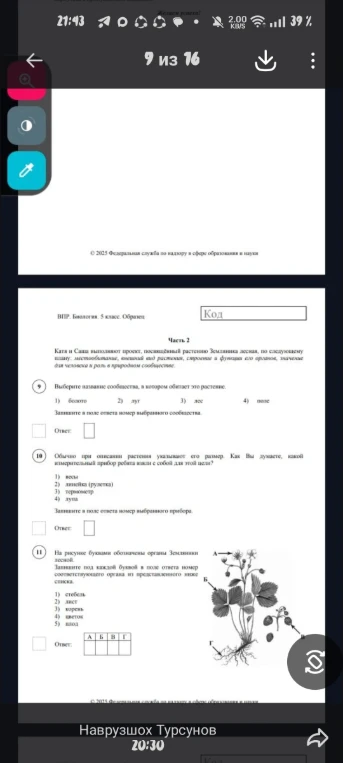 Выберите название сообщества, в котором обитает это растение.