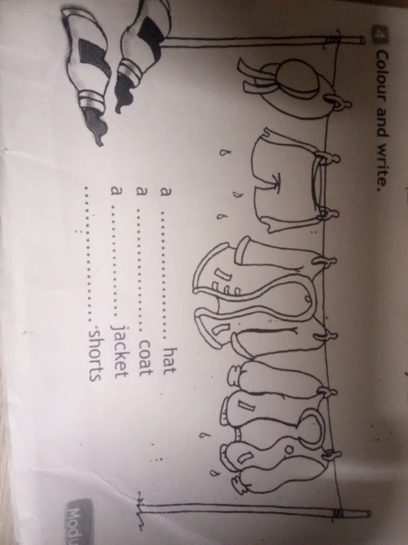 4 Colour and write.