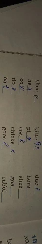 duc_ hors_ shee_ goa_ rabbi_