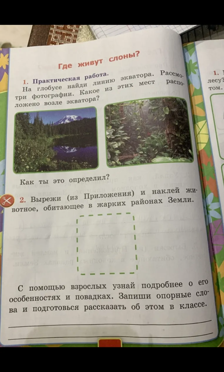 Где живут слоны? 1. Практическая работа. На глобусе найди линию экватора. Рассмотри три фотографии. Какое из этих мест расположено возле экватора?