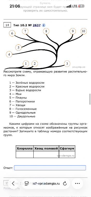 Какими цифрами на схеме обозначены группы организмов, к которым относят изображённые на рисунках растения? Запишите в таблицу номера соответствующих групп.