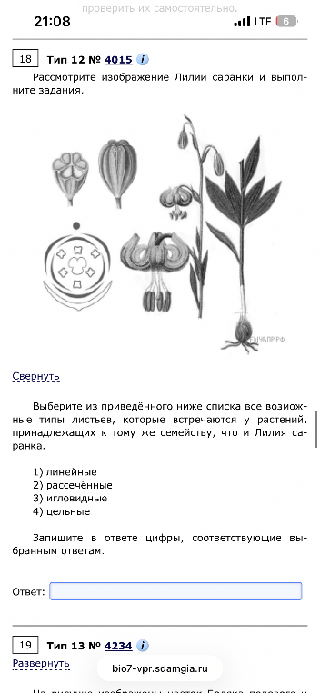 Выберите из приведённого ниже списка все возможные типы листьев, которые встречаются у растений, принадлежащих к тому же семейству, что и Лилия саранка.